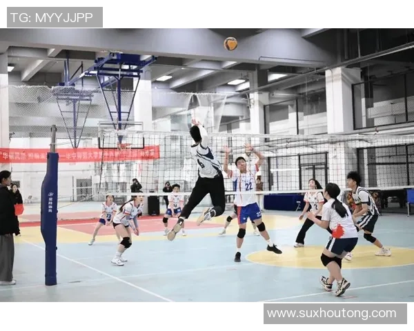 重庆排球队的拼搏历程与荣耀追寻：一段排球纪实的真实故事