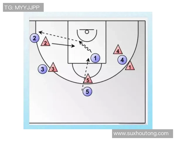 深入分析杭州篮球队的防守策略与战术特点