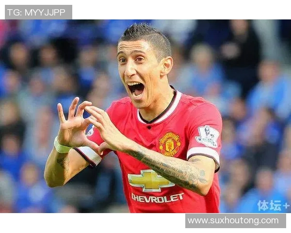 足球明星的天价保险背后隐藏的风险与保障真相探秘