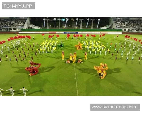 定南县足球明星的崛起与发展之路探秘与未来展望